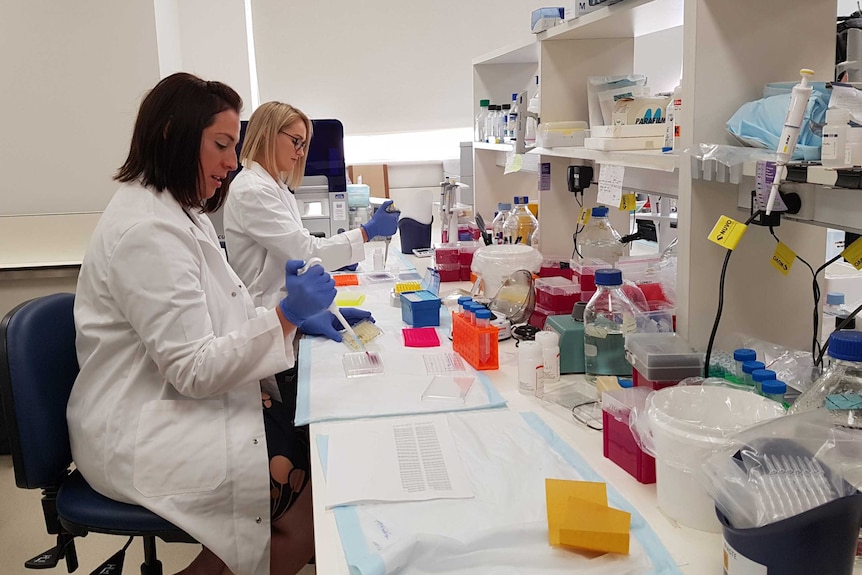 Melbourne medical researchers test a cancer drug which they say shows promise in treating ectopic pregnancies.