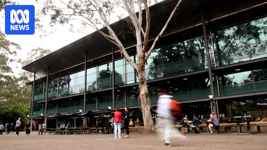 University of Wollongong Announces Major Job Cuts: Over 270 Non-Academic Staff Affected
