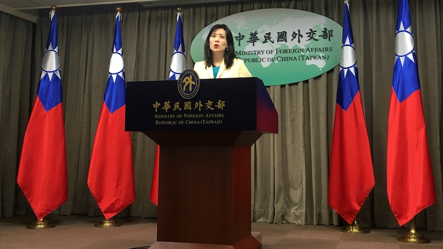 A woman stands behind a lectern flanked on both sides by Taiwan flags.