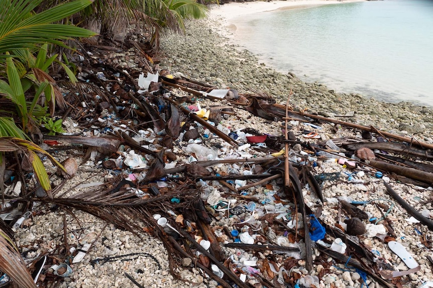 Plastic on the coral, Direction Island