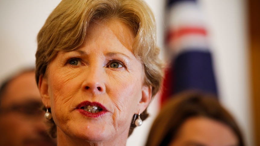'Tragedy' ... Christine Milne has slammed the rush to return the federal budget to surplus.