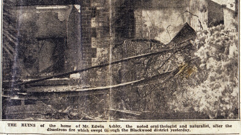 An old newspaper image of a house ruined by fire.