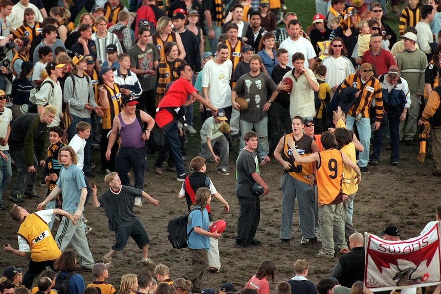 fans throwing dirt final waverley park match getty