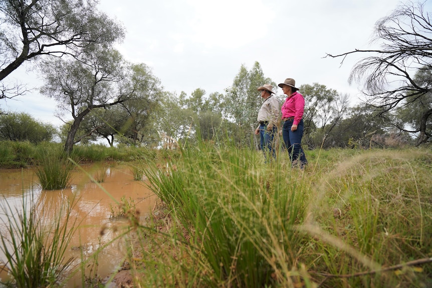 A man and a woman stand on the bank of a small creek surrounded by greenery