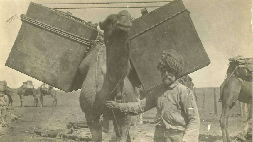 Farina old man with camel