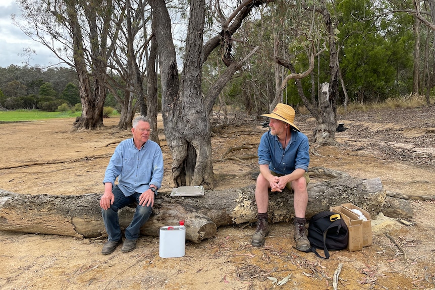 Artists revive custom of portray en plein air to seize romance of Australian bush