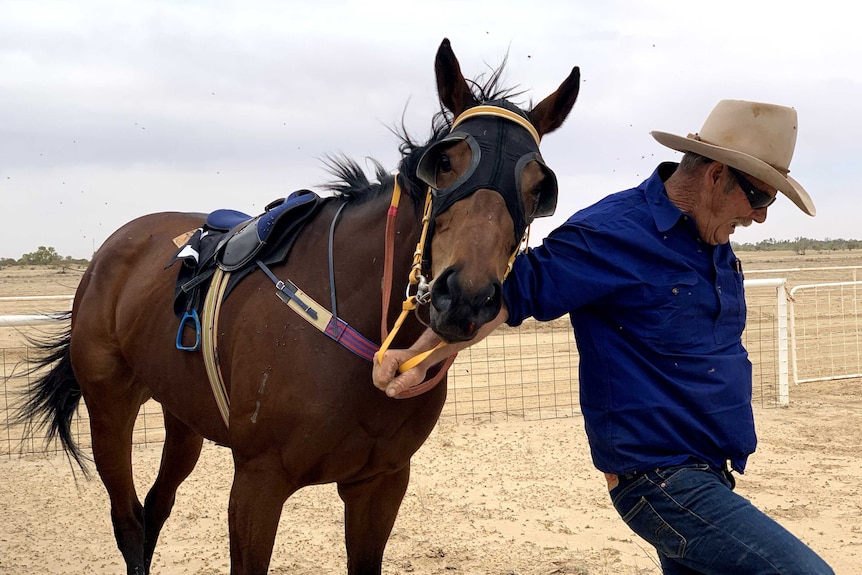 A man with a blue shirt struggles with a horse and flies