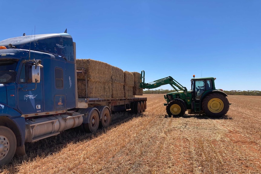 A tractor loads hay onto a truck