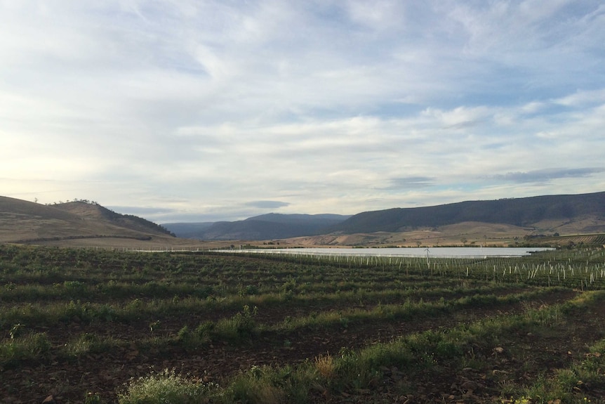 A landscape shot shows rain covers at Howard Hansen's farm, which is surrounded by mountains.