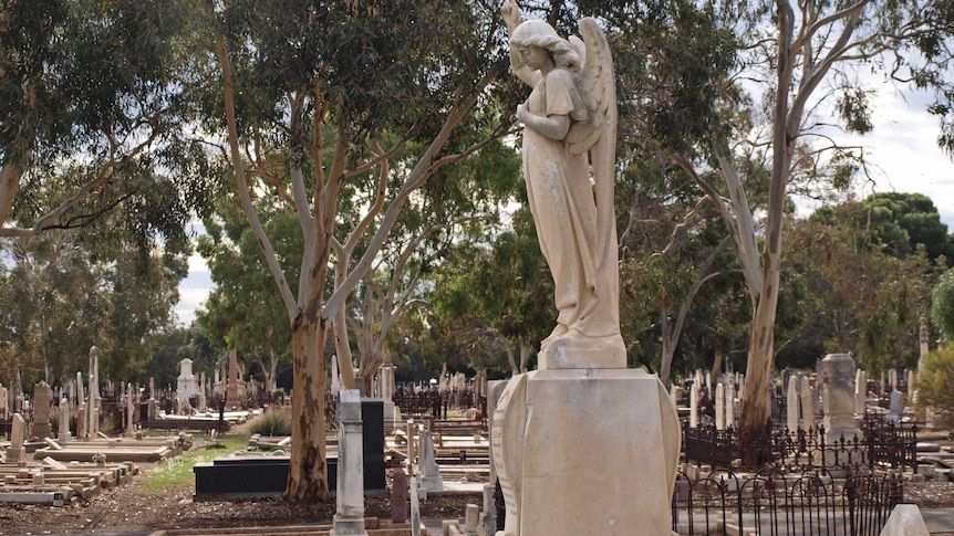 Adelaide cemeteries are rethinking traditional methods after plot space becomes scarce.