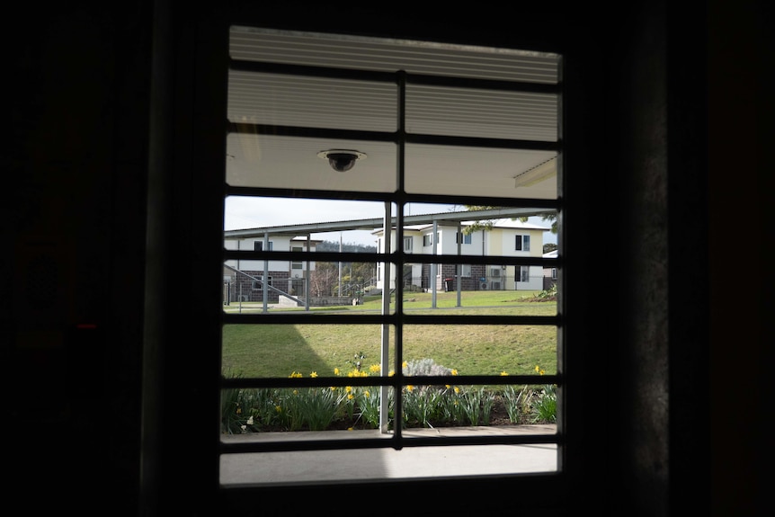 A window with bars across it, looking out into a grassy area with some yellow flowers in a garden bed