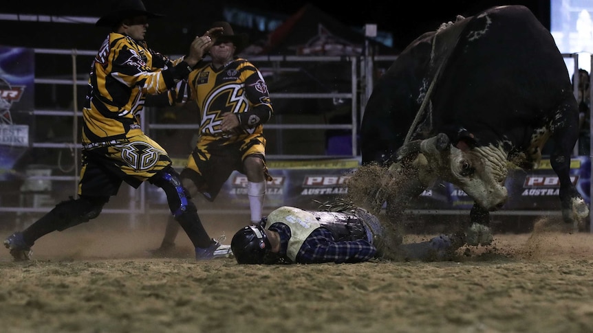 Protection athletes try to draw the bull away from Jay Borghero