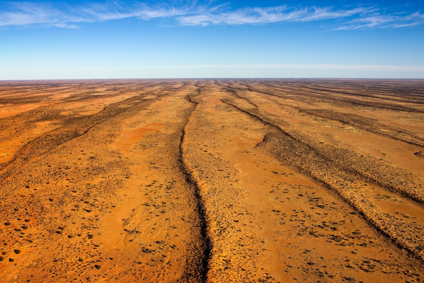 An aerial photo of a desert, with yellow ground, shrubs and lines of dunes