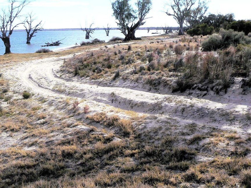 Group wants urgent action to save dunes around Lake Bonney
