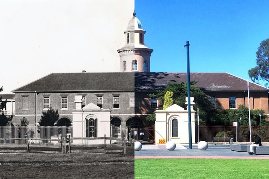 A split shot showing an asylum on the left and a TAFE building on the right.