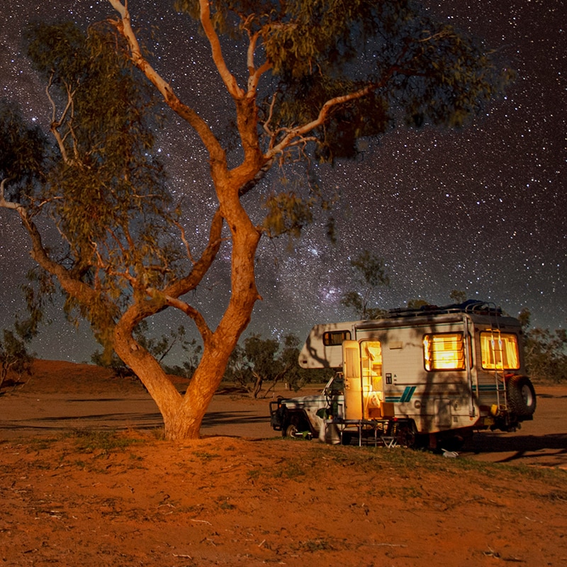 A tree at night with a starry sky and camper van
