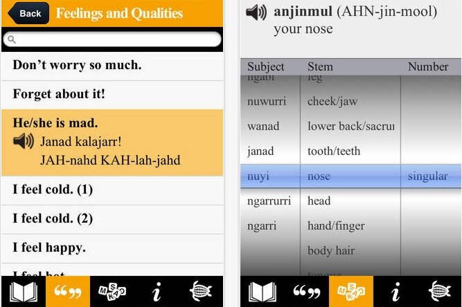 Indigenous languages app