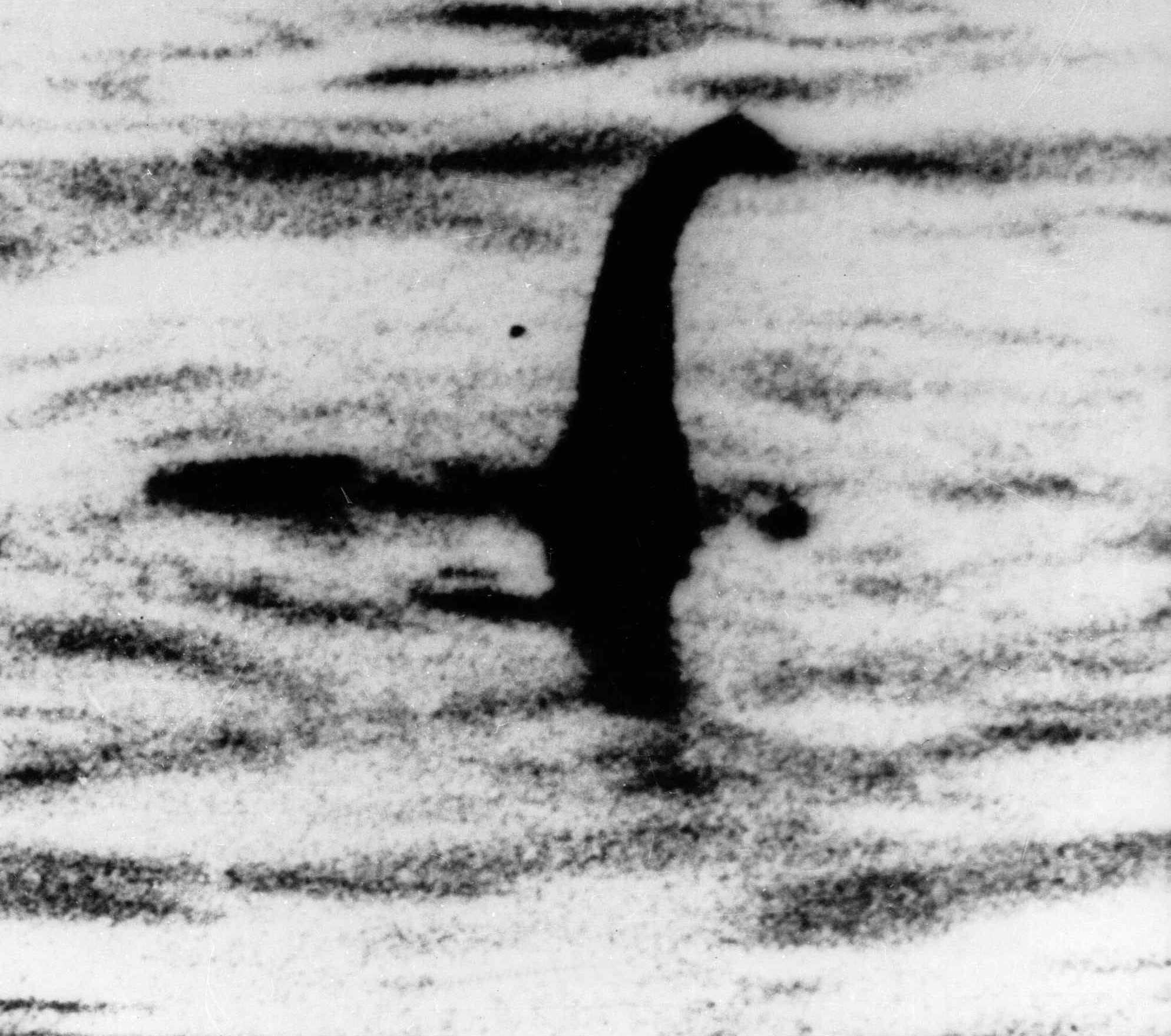 Loch Ness Monster: Scientists conduct DNA survey that could solve the  mystery of Nessie - ABC News
