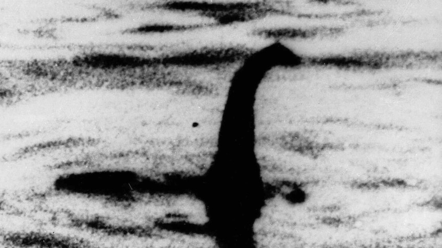 A black and white image supposedly portraying the Loch Ness Monster