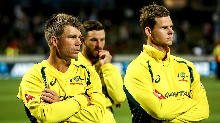 David Warner, Matthew Wade and Steve Smith in coloured clothing with the Australian limited-overs team.