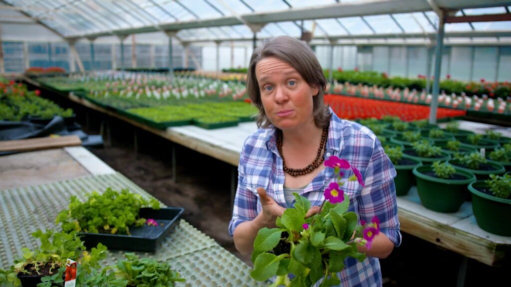 Gardening Australia recap The calming qualities of bonsai and iris