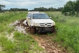 A ute bogged in mud.