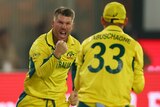 Two male cricketers in yellow celebrate, one facing the other, pumping his fist