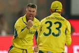 Two male cricketers in yellow celebrate, one facing the other, pumping his fist