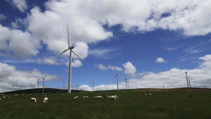 Wind turbines at Waubra (file photo)