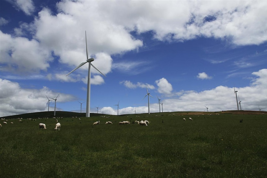 Wind turbines at Waubra (file photo)