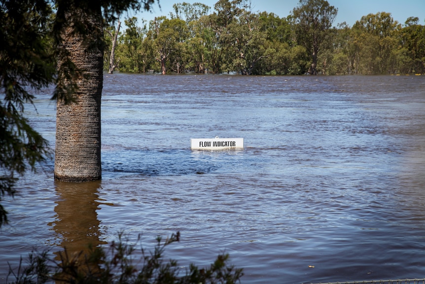 A sign reading 'Flood indicator' surrounded by water, with only the top of it visible