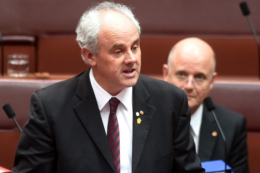 Senator John Madigan announcing he will resign from the Democratic Labour Party during a speech in the Senate last week.