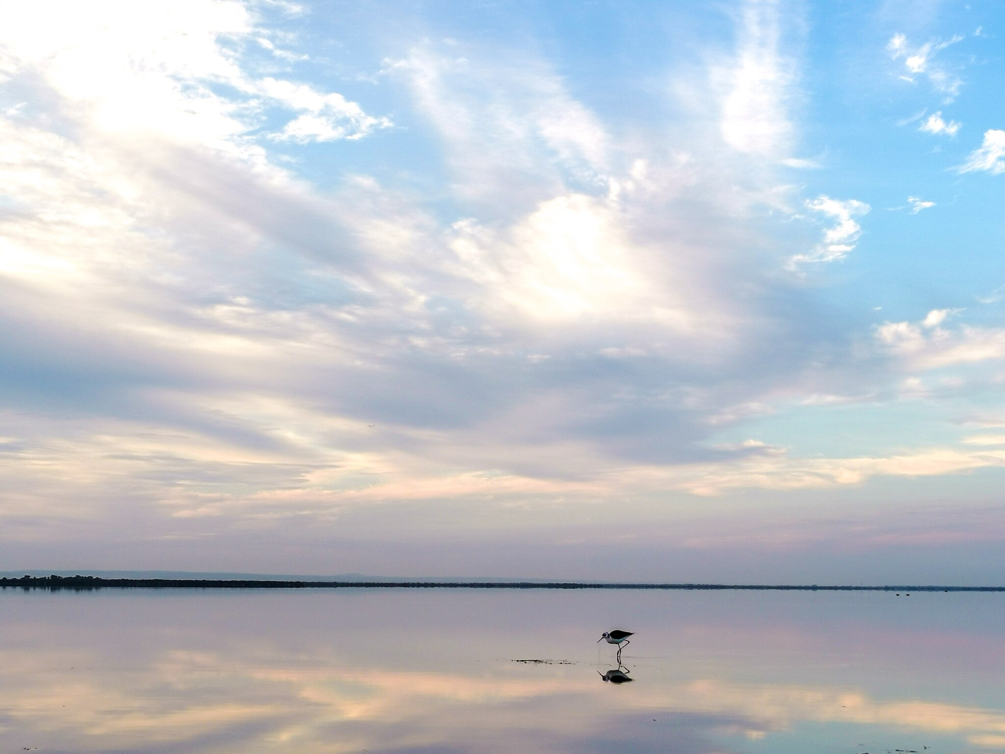 A bird wading on a shallow mirror-like lake under a cloudy sky with yellow highlights in late afternoon.