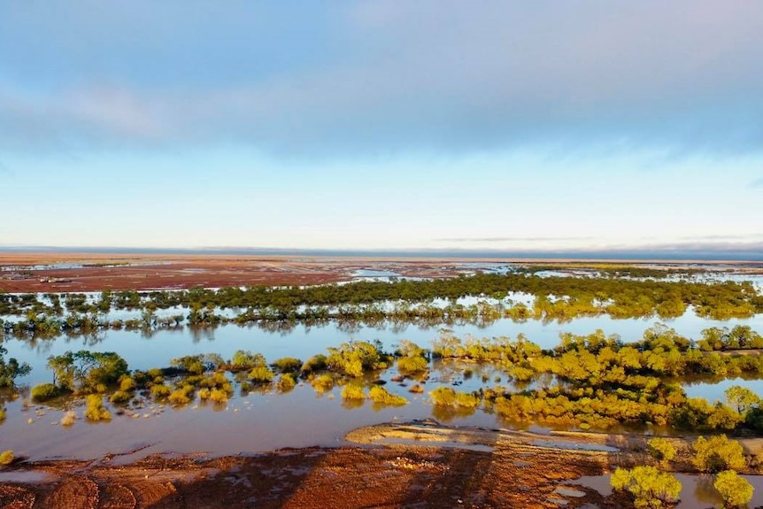 Mt Leonard Station at Betoota, which has received 88.4mm in two days.