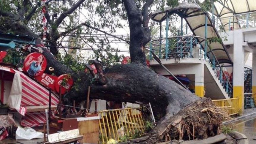 China, Vietnam on alert as typhoon batters Philippines