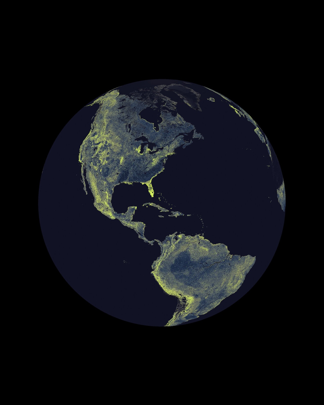 Mapping the global fungi network