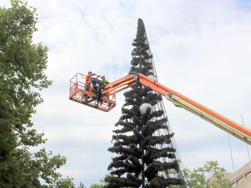Workers in a cherry picker attaching lights to the Christmas tree in Civic, ACT, November 2015.