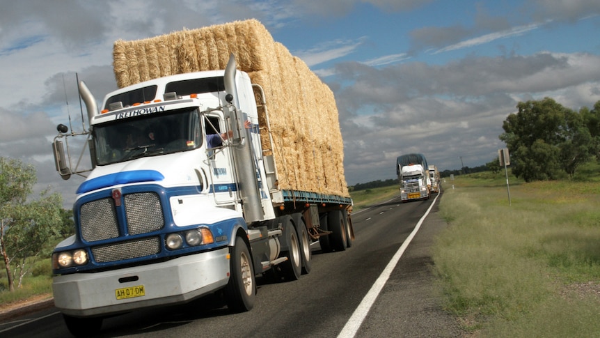 Trucks carry hay along a stretch of road in a rural setting