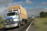 Trucks carry hay along a stretch of road in a rural setting