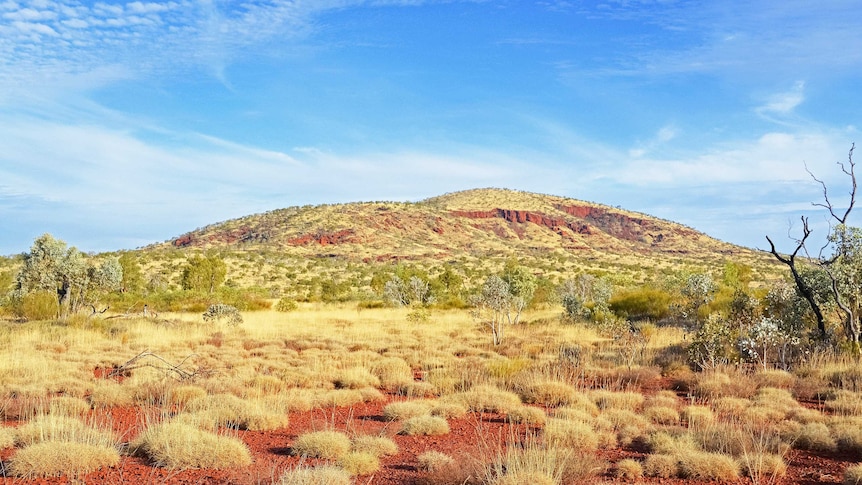 Karijini National Park, with red soil and rises in the distance covered in low shrubs