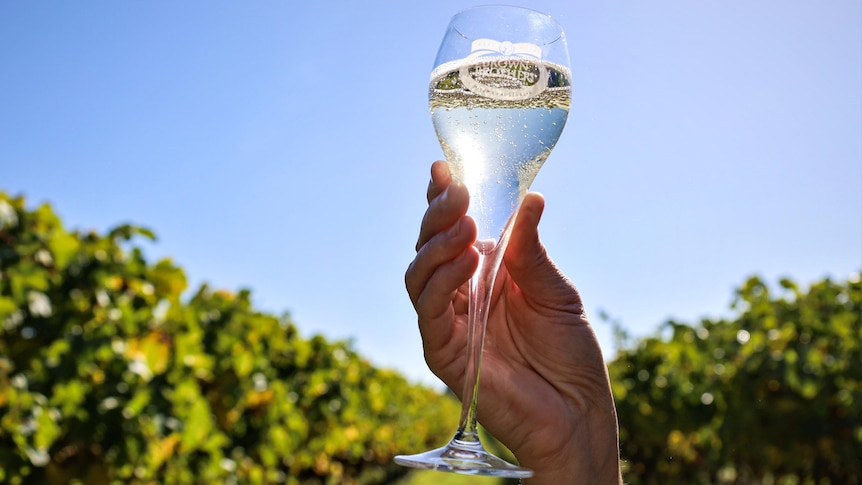 A hand holds up a glass of sparkling white wine in the sun.