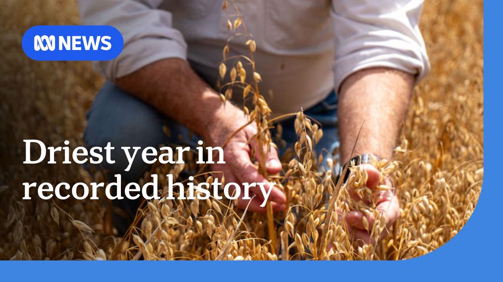 Driest year in recorded history for some parts of South Australia - ABC ...