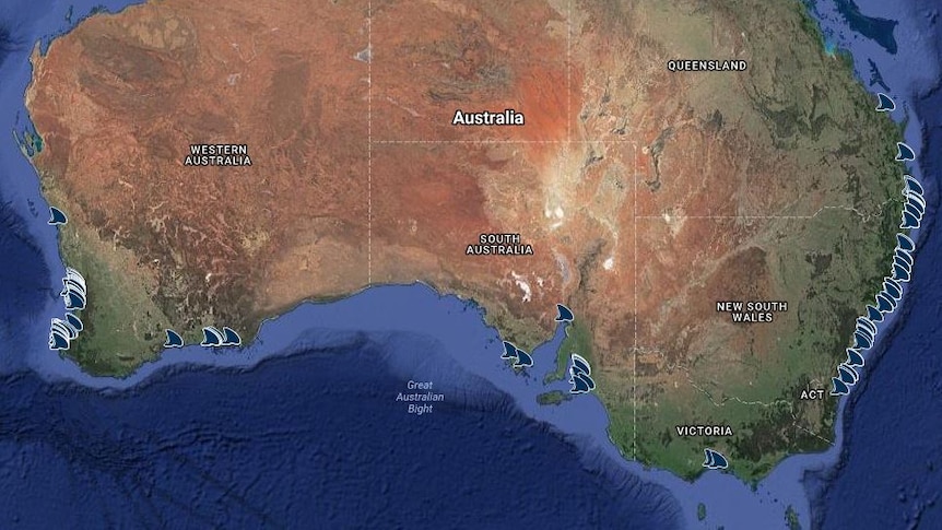 A phone screenshot showing fins along map of east coast of Australia