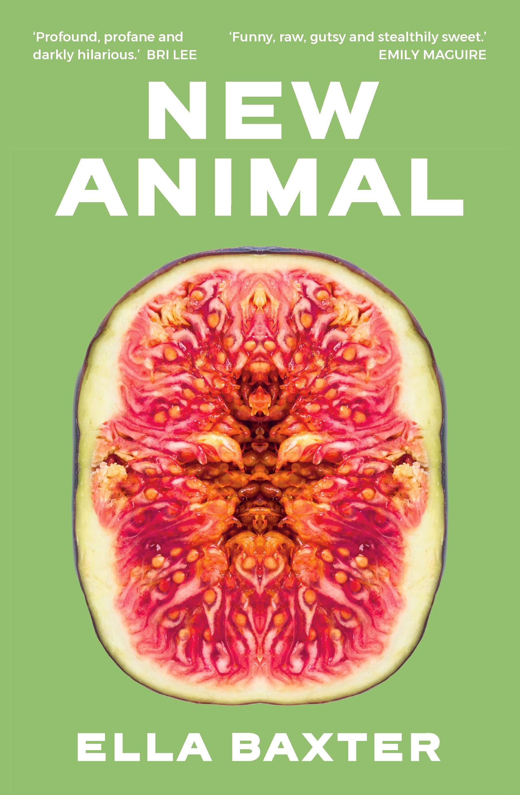 Ella Baxter's New Animal, Francis Spufford's Light Perpetual & the Sydney Writers' Festival is back episode artwork