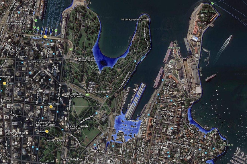 A map shows water flooding part of the botanic gardens and all of Circular Quay in Sydney.