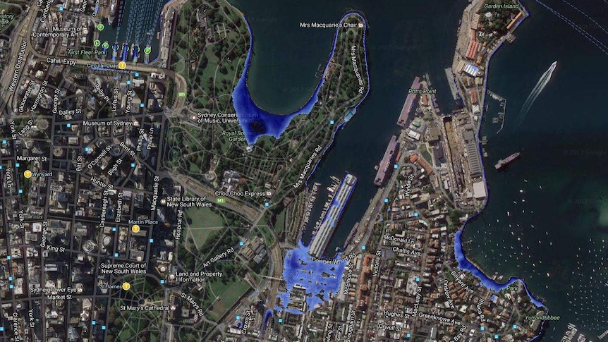 A map shows water flooding part of the botanic gardens and all of Circular Quay in Sydney.