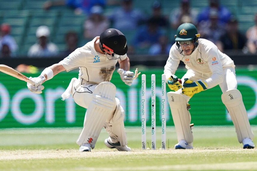 Tim Paine shouts after removing the bails of Henry Nicholls.