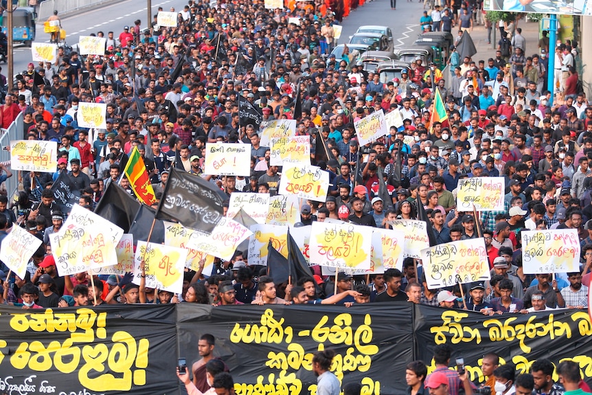 A mass of students march down the street holding placards.