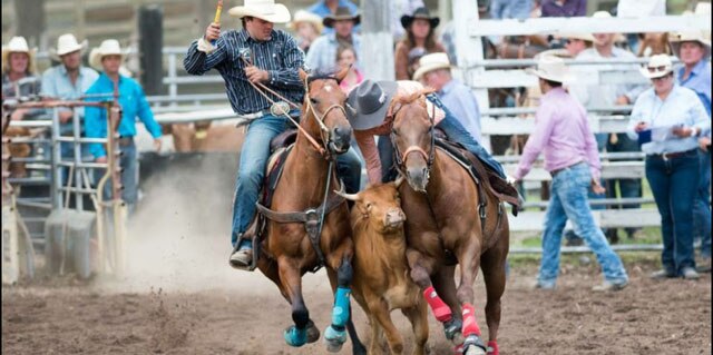 Rodeo power couple hope to raise the bar at this year's national finals ...