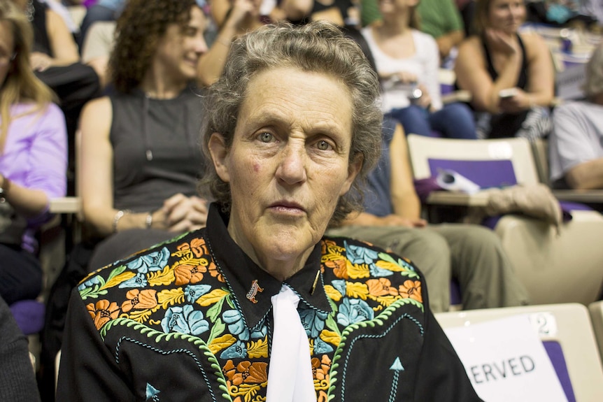 A woman with short grey hair and coloured print shirt with white neck tie looks to camera. A crowd is seated in background.